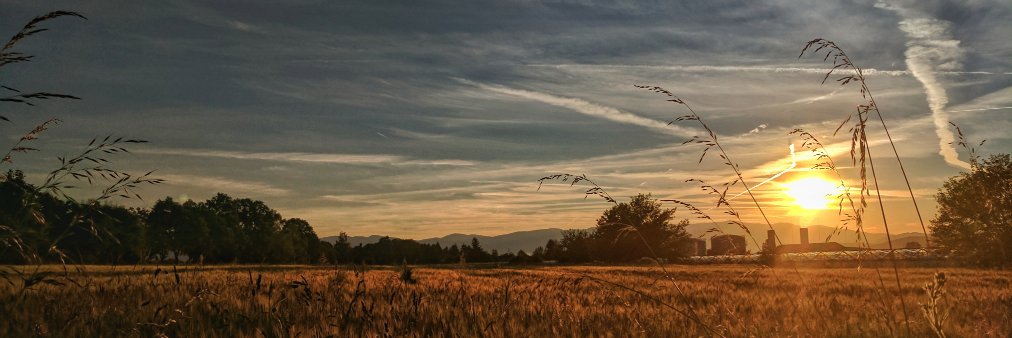 xlr_eight's profile banner image