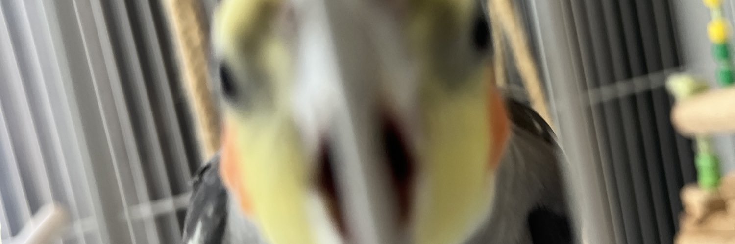Maga_LMR's profile banner image