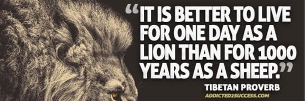 DurantLions1 Profile Banner