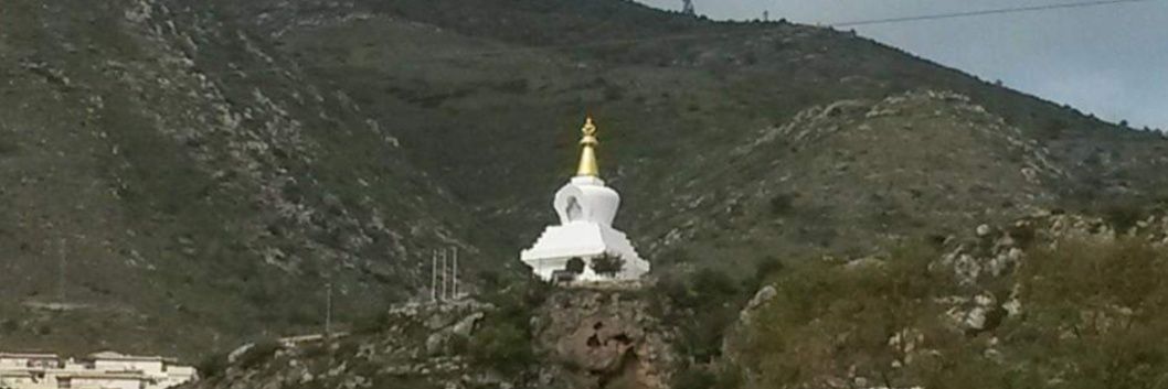 Mónica Willengton banner