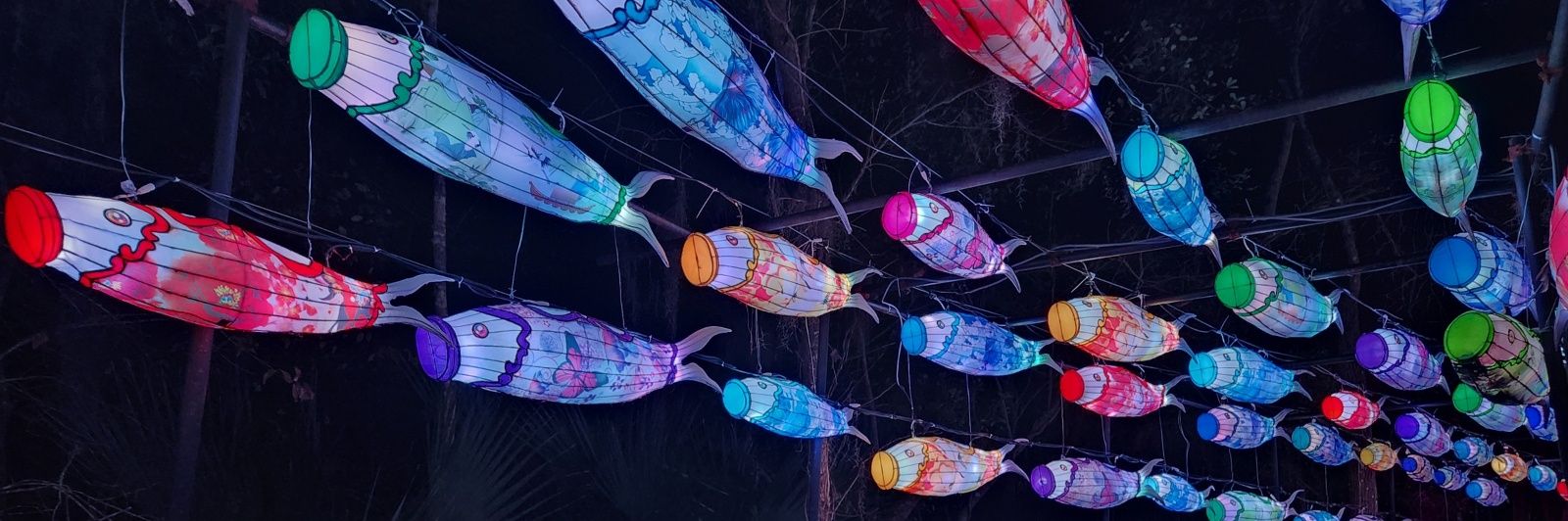 Ninj4h.eth🤙 banner