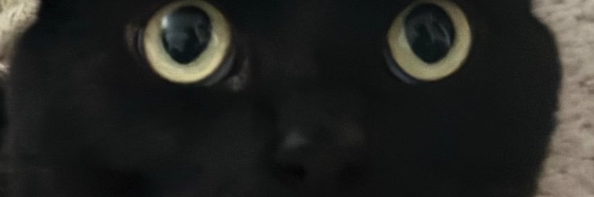 TheOGRook's profile banner image
