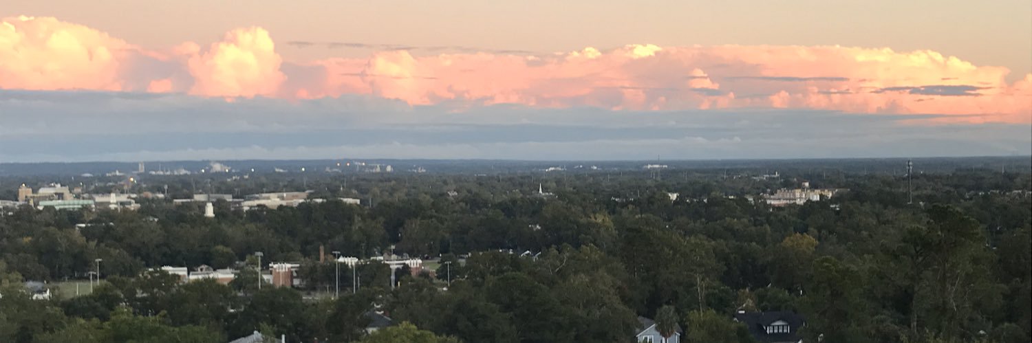 dalmiechick45's profile banner image