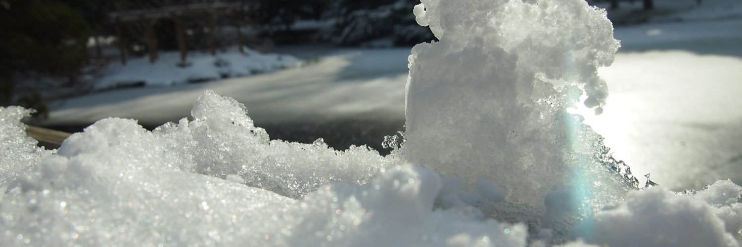 lertsiwanont's profile banner image