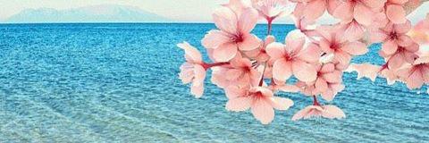 itha_sp's profile banner image