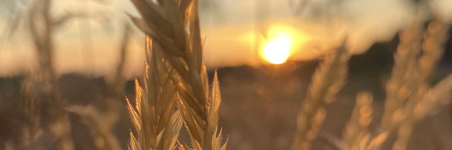 minttuminna's profile banner image