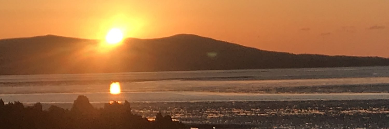DebbieRooney3's profile banner image
