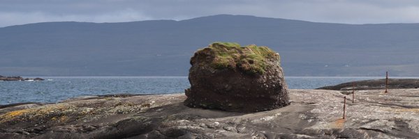 OlafUCD Profile Banner