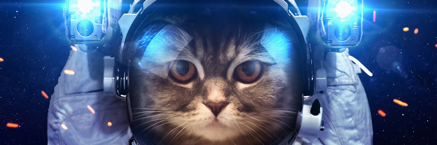 Danilo_what's profile banner image