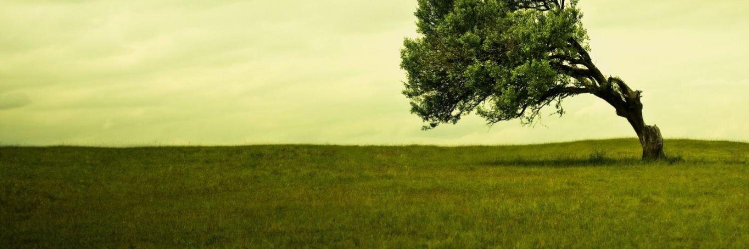 aftabuzz's profile banner image