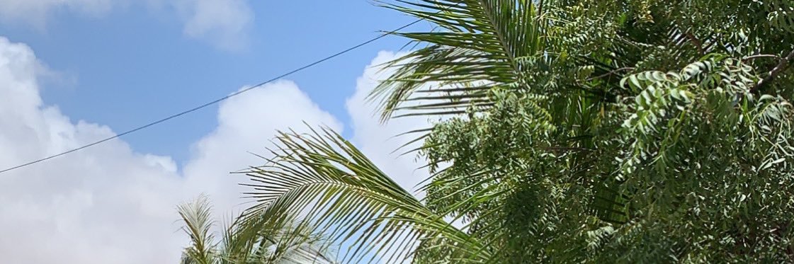 Moneymoonzx's profile banner image