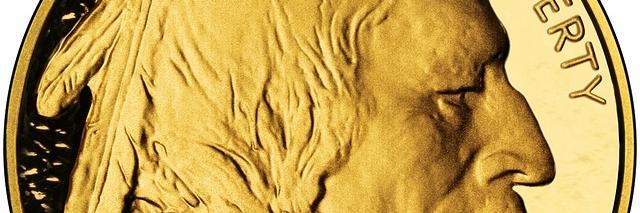 wachtsam's profile banner image