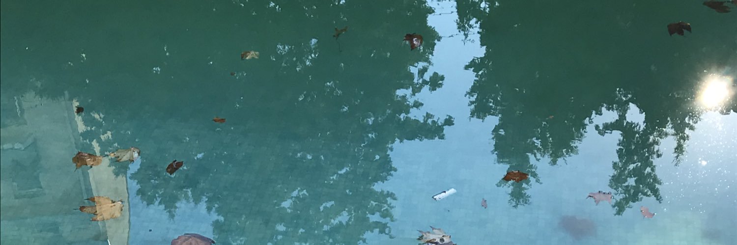 clara hellner banner