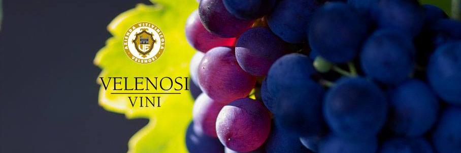 VelenosiVini's profile banner image