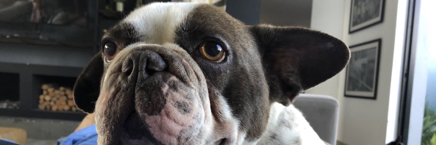 kmilovm's profile banner image