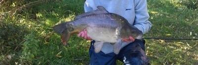 Brett Pickersgill banner