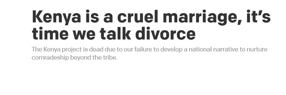 David Ndii's banner