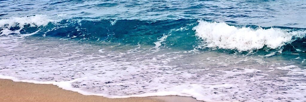 Optimizics 🐬🦀🐠 banner