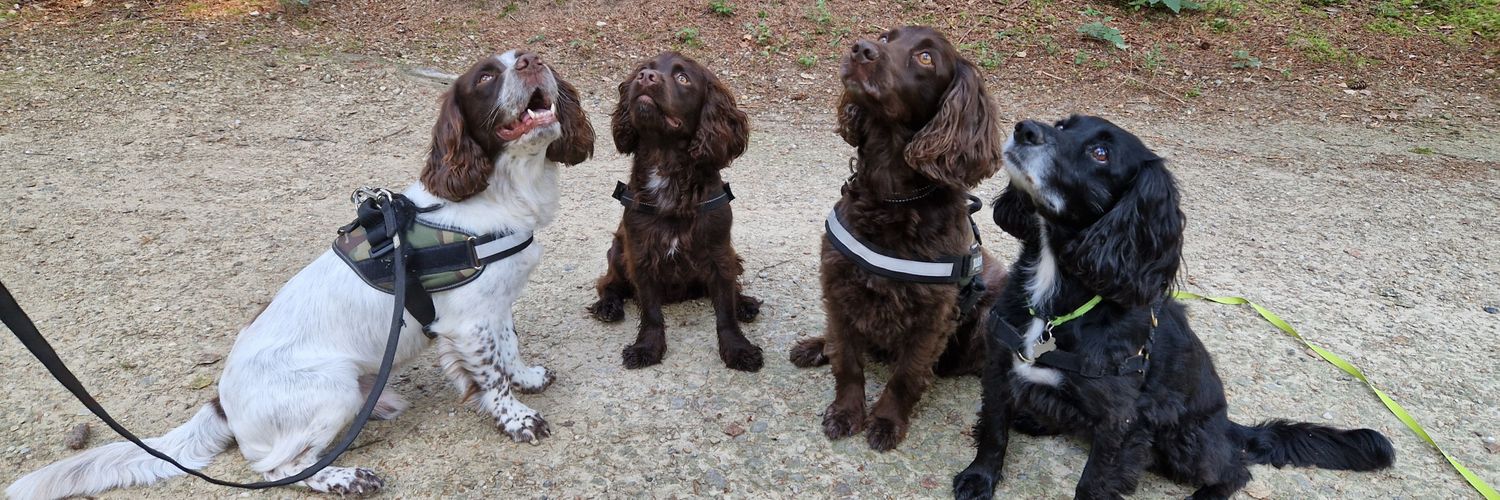 Irma van Hoeven banner