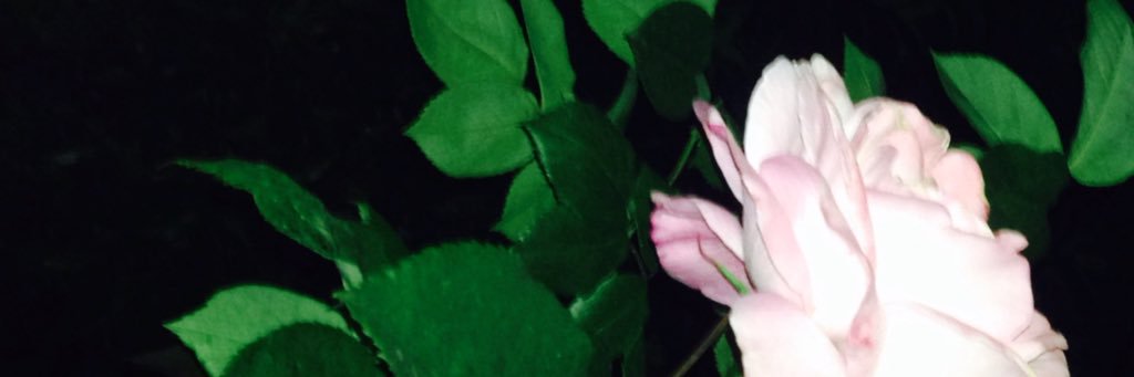 A_kiym's profile banner image
