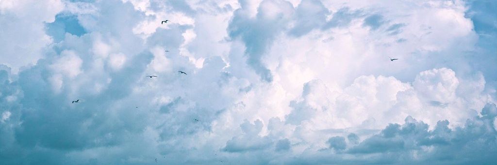 JulietDandelion's profile banner image