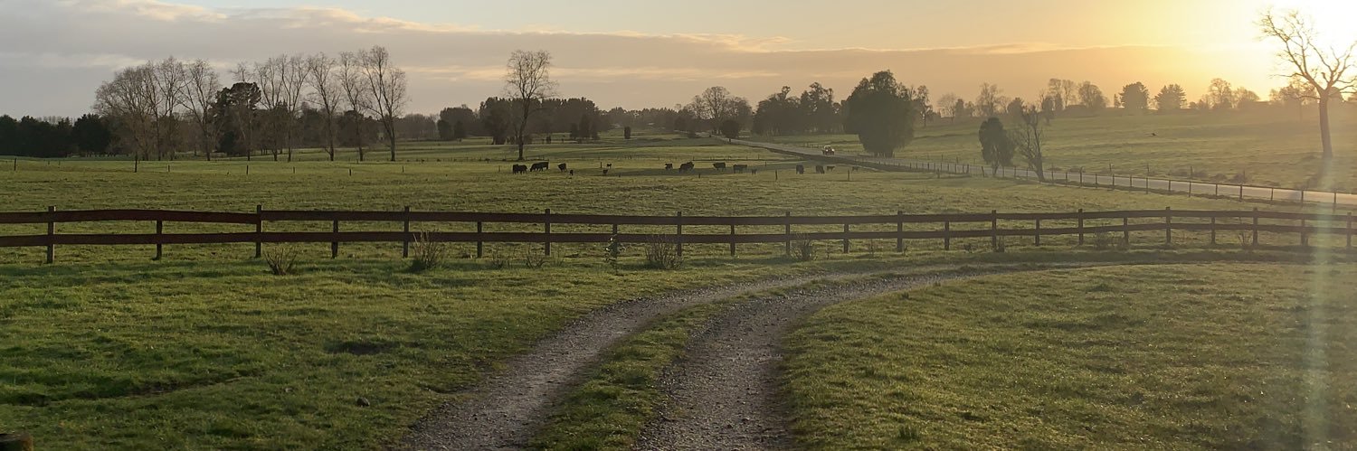 César Hechenleitner banner