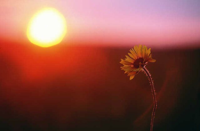 Cool_teboho's profile banner image