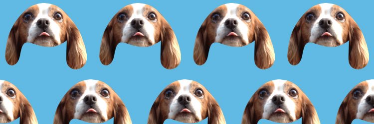 h_tsuchimon's profile banner image