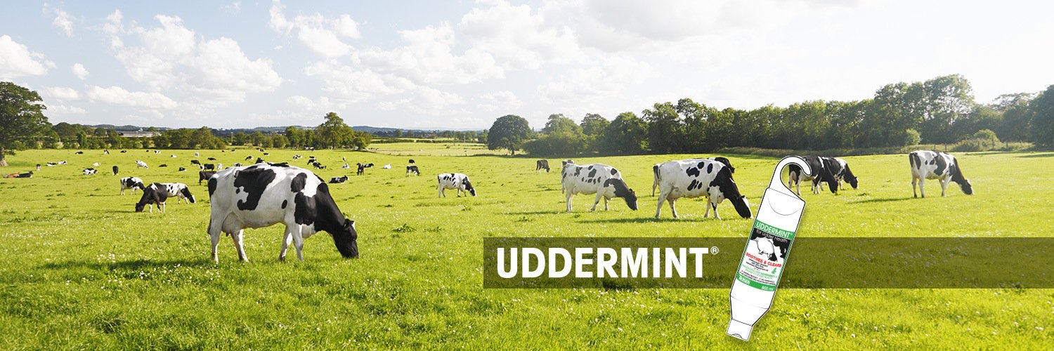 Uddermint's profile banner image