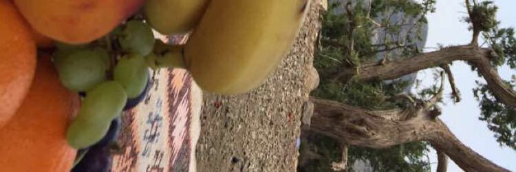 4axx123's profile banner image