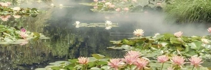 𝓐́𝓲𝓷𝓮 banner