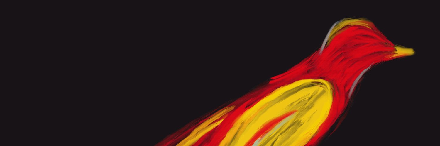 TDH_etu's profile banner image