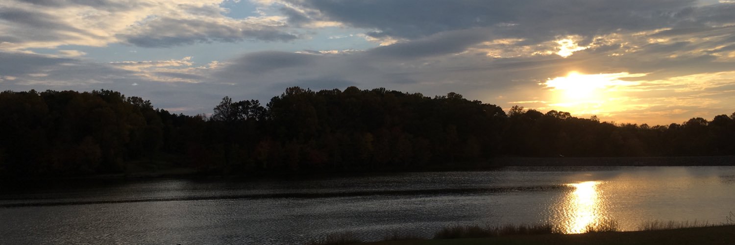 seayum's profile banner image