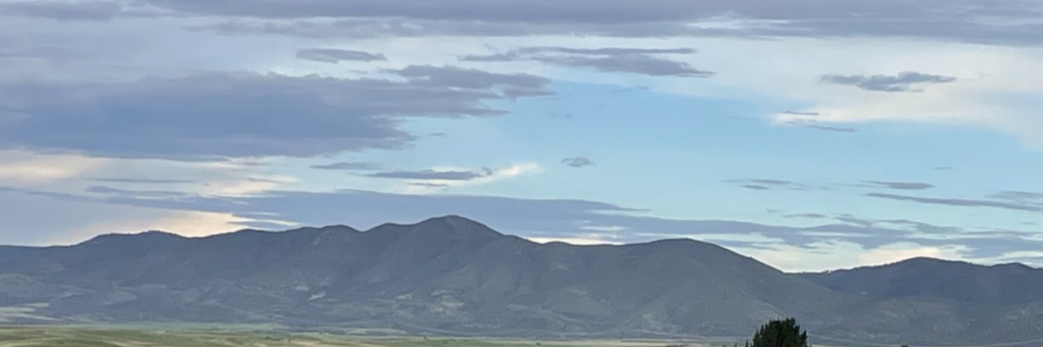 FlyBird983726's profile banner image