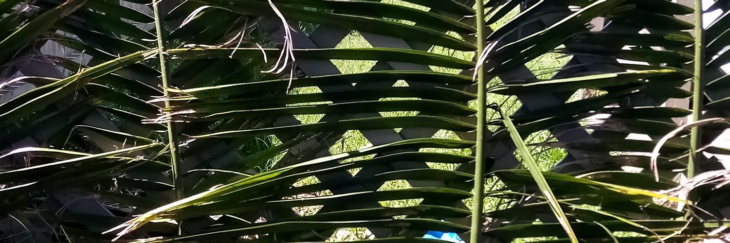 TeejayTheAussie banner