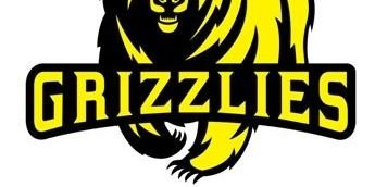 gtabearsgta's profile banner image