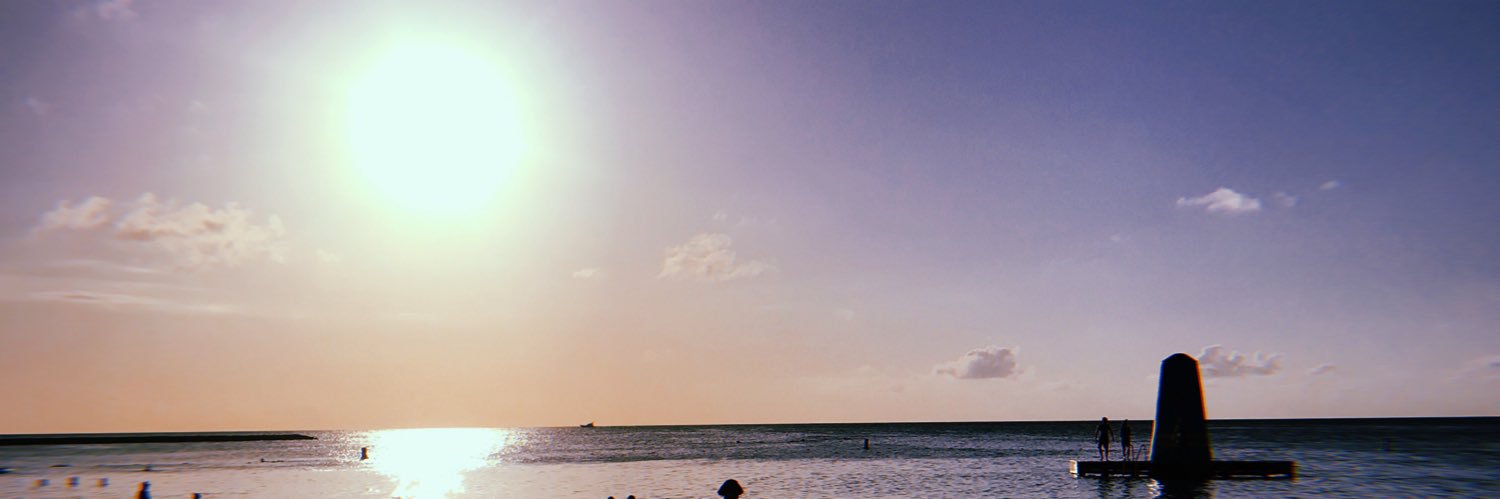 Pauli_bu's profile banner image