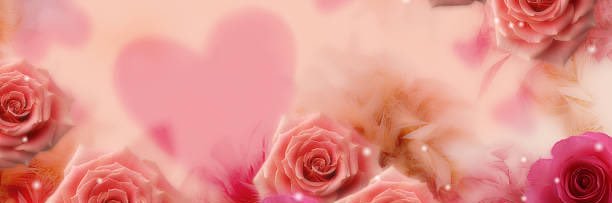芯(旧 桜) banner