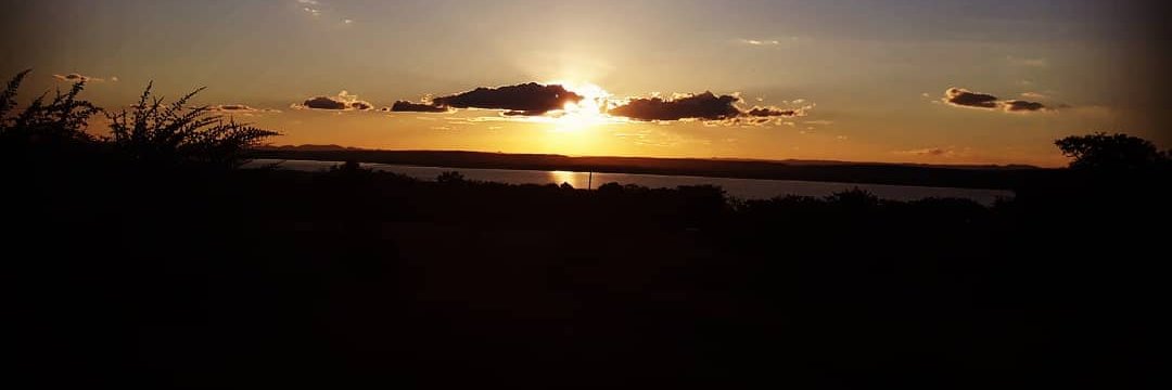 Tinashe Goronga (He/Him) banner