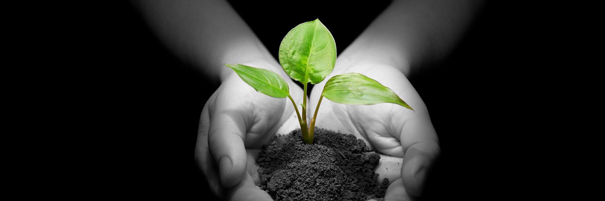 Seeds Leadership banner