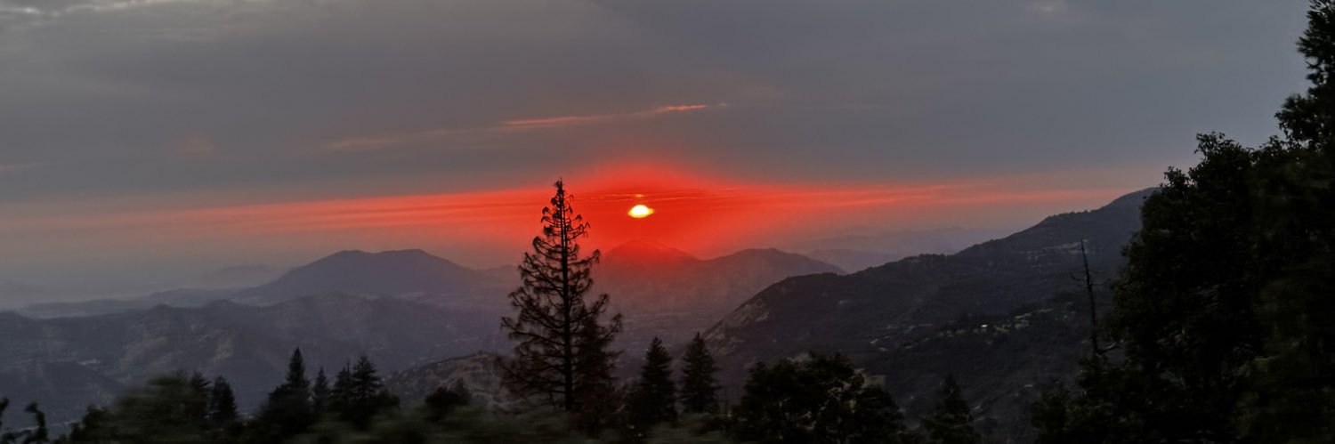 Fernando Castro banner