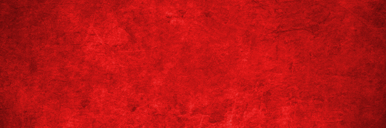 Zevrix Solutions banner