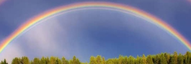 TIGANFLORICA's profile banner image
