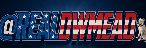 RealDWMead Profile Banner