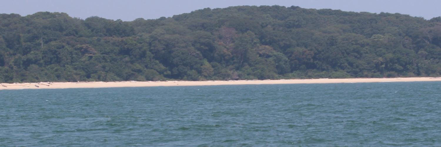mveandy's profile banner image