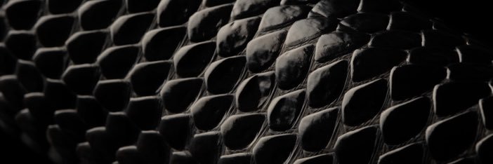 luiz_messora's profile banner image