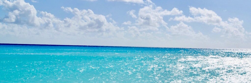 mfffp's profile banner image