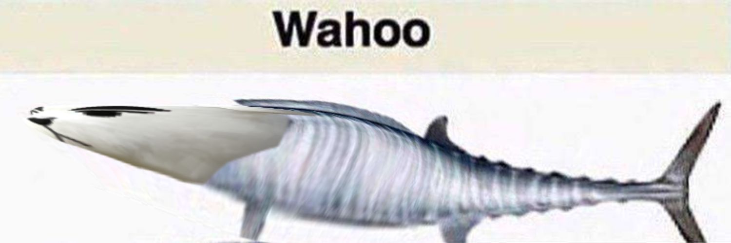 Lemon Яobot & Bops banner