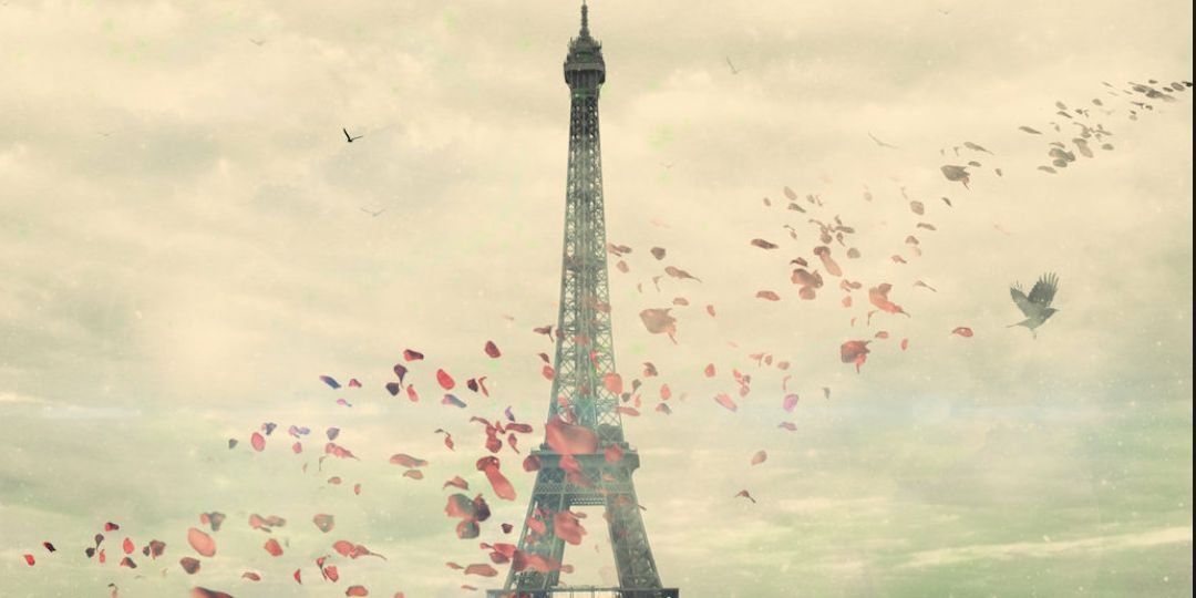 Bea_2608's profile banner image