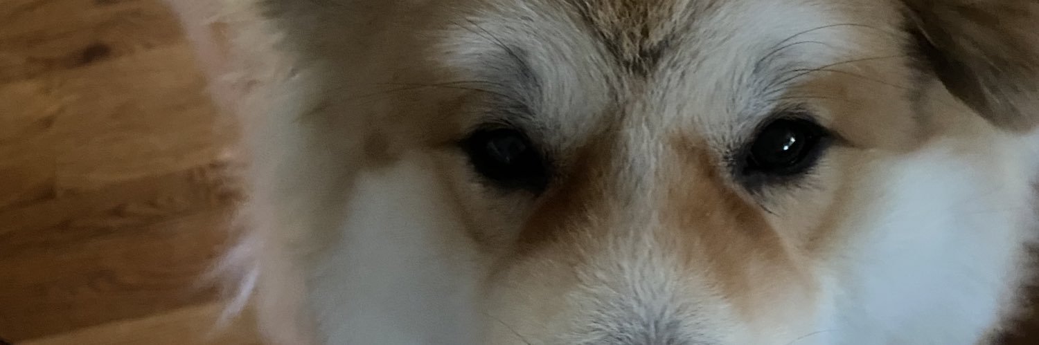 Ich bin niemand banner